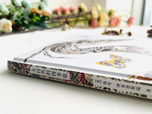 《一鲸落，万物生》（《大自然的四季歌》赠品帆布手提袋） 商品图4