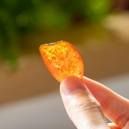 食味的初相金桔肉|酸甜可口，肉厚果味浓，好吃不上火 商品图2