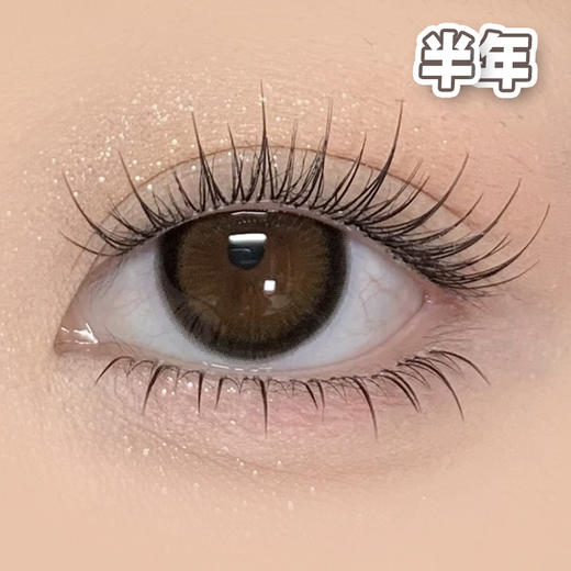 #GAL 温润支点 棕黑 14.5mm【1片装】舒适推荐 / 半年抛 商品图1