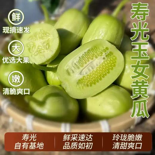 【莫晚专属】山东玉女黄瓜 顺丰包邮 商品图0