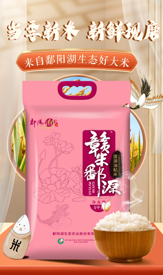 鄱阳湖莲湖油粘5KG 商品图0