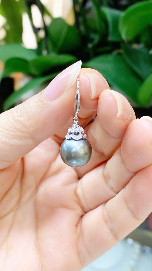 11.5mm大溪地耳坠 商品图2