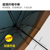 MM 山姆 JNC XXL 直骨双层伞 绿境丛林 商品缩略图1