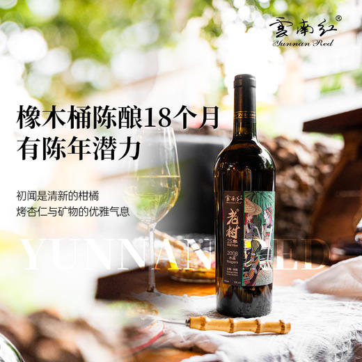 云南红酒庄老树25年12度750ml水晶干白葡萄酒弥勒酒庄 商品图4