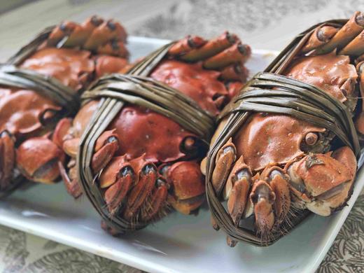 【江浙沪包邮】太湖一号大虾，熟醉虾熟醉蟹 商品图0