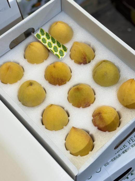 琥珀蜜桃（12个/5斤） 商品图0