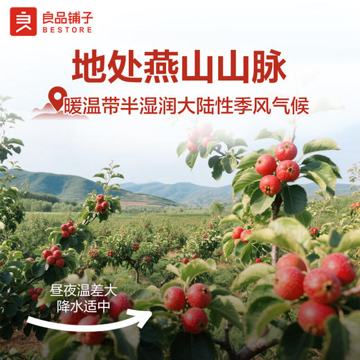 爆浆蓝莓山楂球30g 商品图1