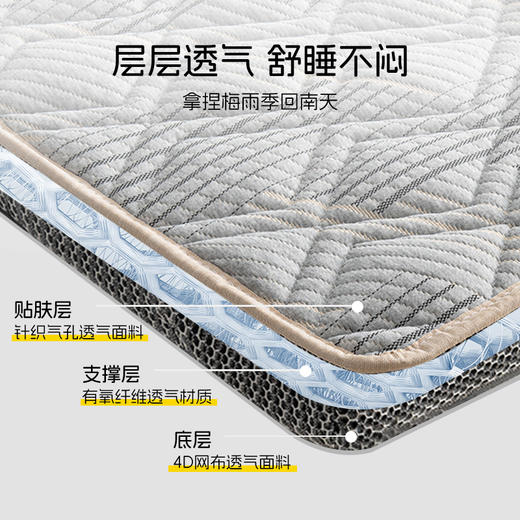 雅芳婷冬暖夏凉床垫宿舍学生单人床垫家用卧室软垫透气榻榻米垫子 商品图2