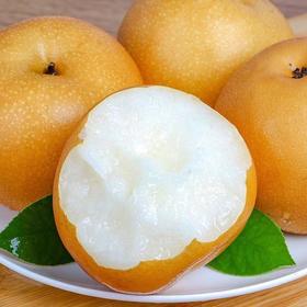 中秋好礼！【水嫩清脆，果肉细腻无渣！】莱阳秋月梨礼盒装 新鲜时令水果 山东冰糖梨子 孕妇水果 员工福利 整箱包邮 现摘现发-QB