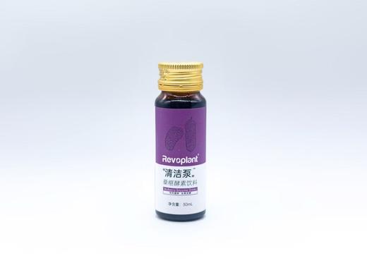 【Revoplant】彩虹泵酵素饮料七天彩虹装30ml/支*7支/盒 商品图8