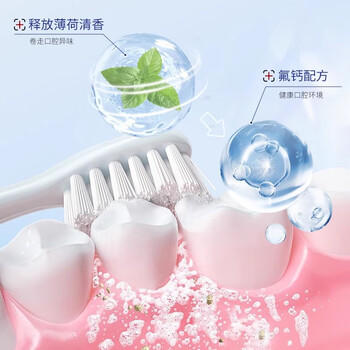 花王（KAO）大白牙膏含氟165g*3支牙膏去黄去渍美白除臭清新口气牙膏京东自营 /个人护理 /口腔护理 /牙膏 商品图2