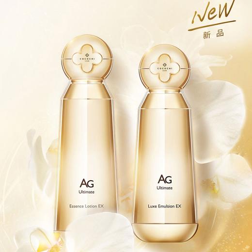 cocochi AG抗糖金色水乳套装 水170ml+乳130ml 香港直发 到27年3-6月 商品图0