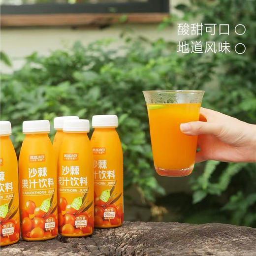 西域小白沙棘果汁 290ML*10瓶 健康好喝基地直邮 商品图1