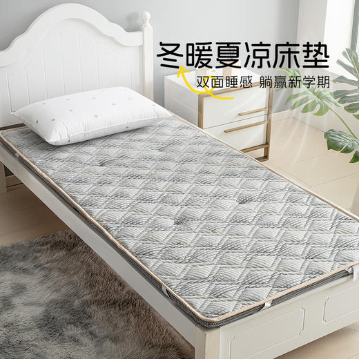 雅芳婷冬暖夏凉床垫宿舍学生单人床垫家用卧室软垫透气榻榻米垫子 商品图0