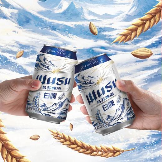 【限时秒杀】天山白500ml*12+天山白330ml*24 商品图1