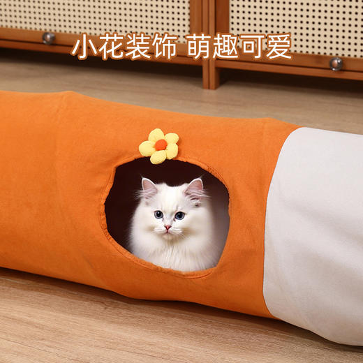 多孔猫隧道玩具滚地龙卡通直筒可折叠猫狗自嗨通道易收纳宠物用品 商品图1
