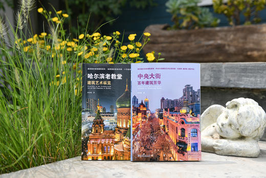 中央大街百年建筑芳华  &3303 商品图2