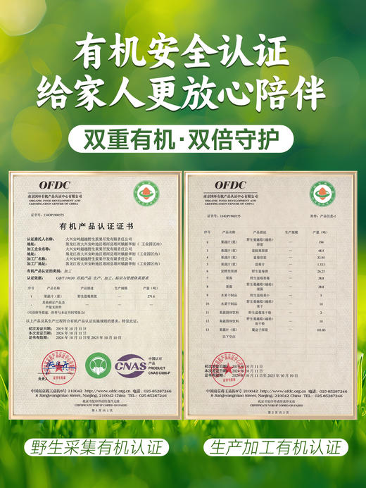 每日乔安·有机野生蓝莓原浆 配料干净 不加1滴水 商品图9