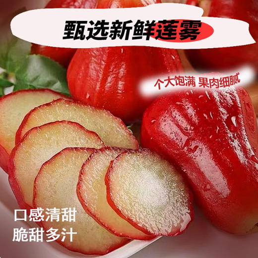 鲜创冷冻莲雾果浆950g冻莲雾浆速冻莲雾汁水果原浆鲜榨原汁烘焙奶茶原料商用 商品图3