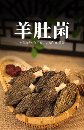 福建古田一级羊肚菌干55.8元1盒50g，明天到