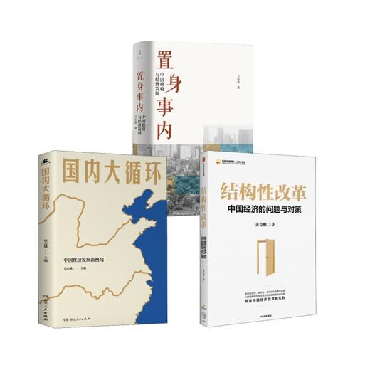 结构性改革+国内大循环+置身事内 商品图0