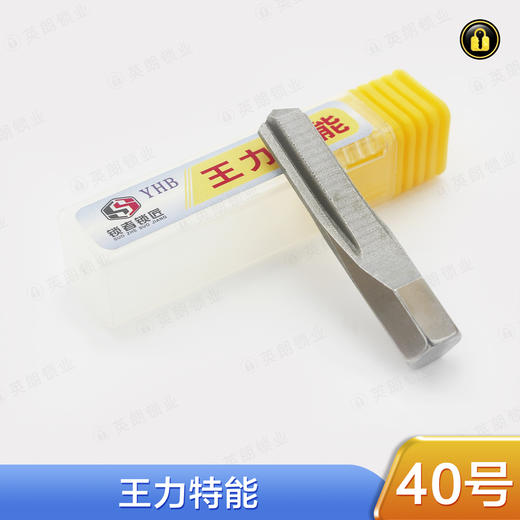 〖40号〗皇力特能 商品图0