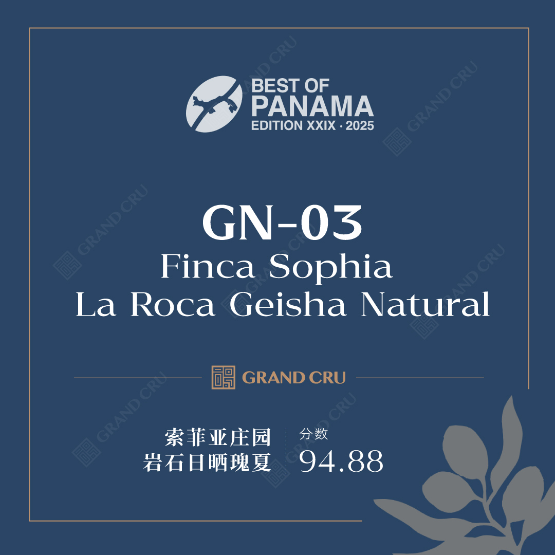 2025BOP竞标批次 | 瑰夏日晒组 GN-03｜索菲亚庄园 岩石日晒瑰夏