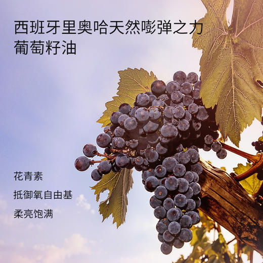 【以油养花园】APOEM私处专用沐浴油｜送私护喷雾｜清洁+水润紧致｜养好私处菌群｜花园超级润 商品图8