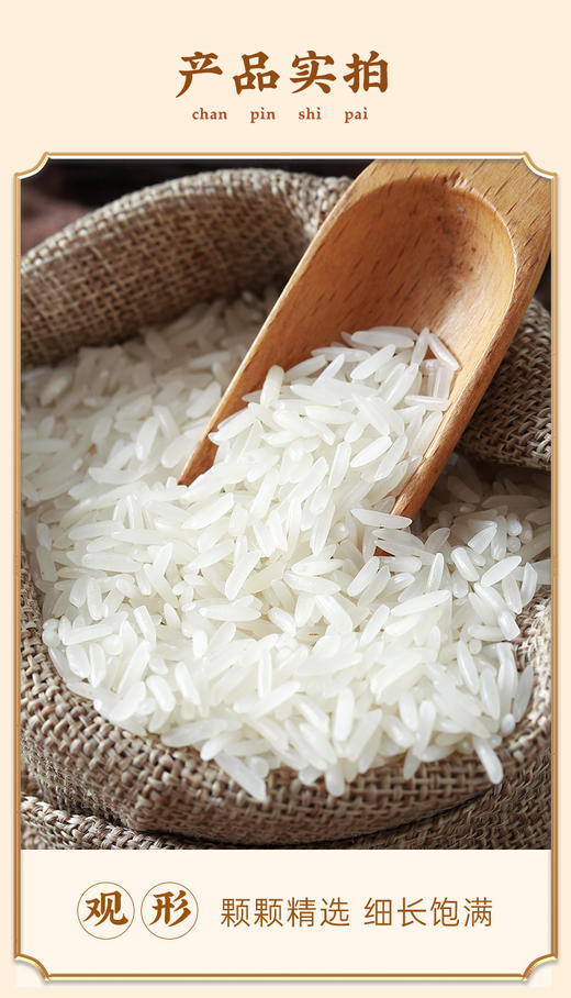 鄱阳湖莲湖油粘5KG 商品图5