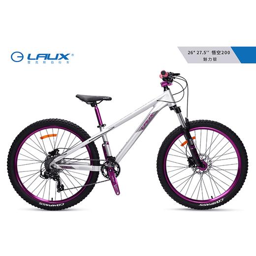 LAUX/雷克斯 悟空200土坡车铝合金车架单盘9速120响四培林花鼓 商品图2