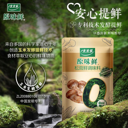 太太乐原味松茸鲜调味料30克 商品图0