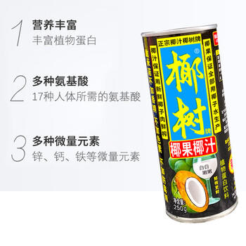 椰树椰果椰汁 250g*24罐 植物蛋白饮料 正宗海南特产 整箱装 /水饮冲调 /饮料 /植物蛋白饮料 商品图0