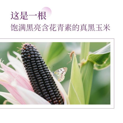 田里有草黑糯玉米 商品图1