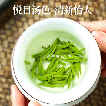 天旭茶叶绿茶雀舌特级四川毛尖2026新茶春茶明前嫩芽高山云雾茶250g /水饮冲调 /茗茶 /绿茶 商品图0