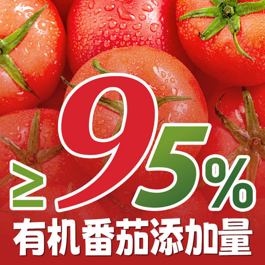 食圣有机番茄沙司240g/瓶 新疆番茄酱搭配沙拉酱酸甜面包薯条炸鸡披萨 商品图2