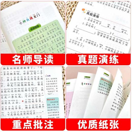 小鲤鱼跳龙门:注音彩绘版 商品图2