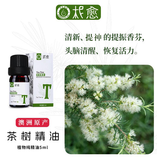 【柅愈】茶树纯精油5ml  澳洲原产茶树精油  单方纯精油  扩香/熏香/调油 商品图1