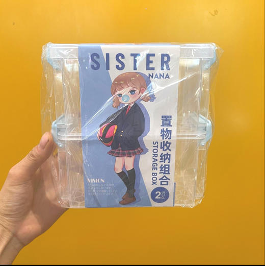 校园1984透明组合收纳箱 商品图0