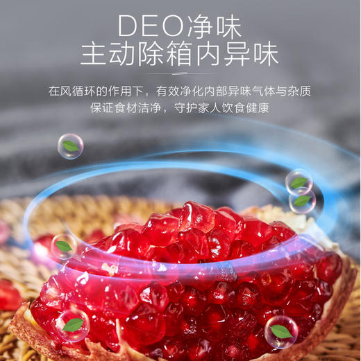 海尔（Haier）冰箱 BCD-170WLHC2Z0WV 商品图4