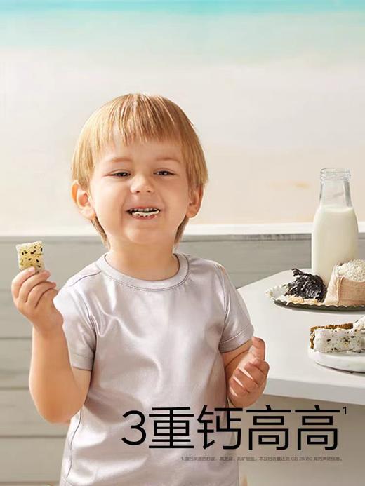 光合星球高钙海苔脆脆饼 30g/BBC-486685 商品图0