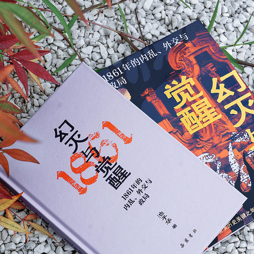幻灭与觉醒：1861年的内乱、外交与政局 商品图1
