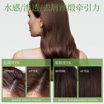 绿色溪谷洗发水去屑止痒洗头膏乳茶籽控油舒爽丝滑男士女士洗发精露480ml /个人护理 /洗发护发 /洗发水 商品图1