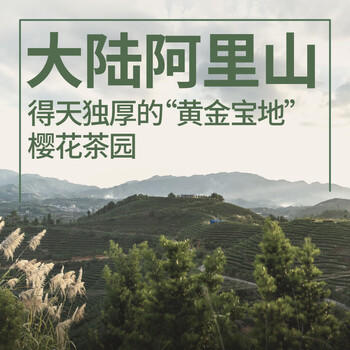 修哲乌龙茶台湾高山冻顶浓香特级256g礼盒装茶叶无农残新茶128g*2盒 /水饮冲调 /茗茶 /乌龙茶 商品图0