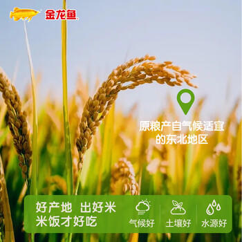 金龙鱼长粒香大米东北大米稻谷鲜生长粒香10斤 6步鲜技术鲜米 商品图4