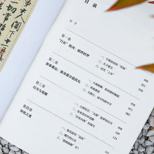 幻灭与觉醒：1861年的内乱、外交与政局 商品图5