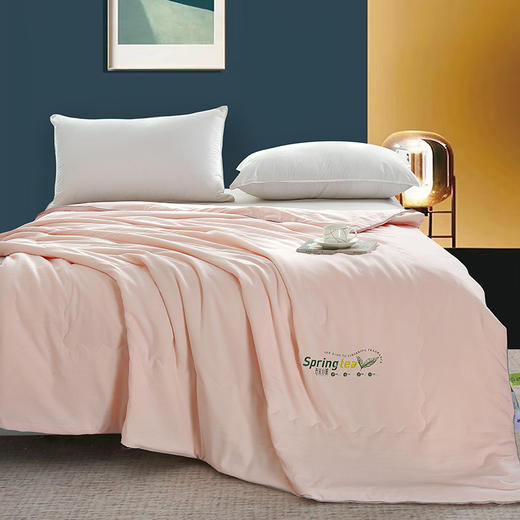 保罗 春茶小棉美颜被 商品图1