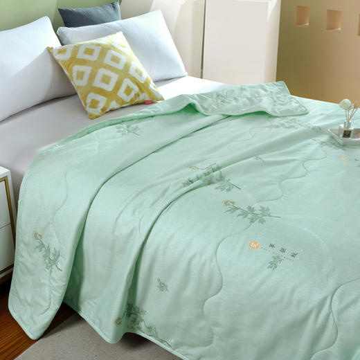 【多样屋专柜】雅鹿艾草驱蚊抗菌被150*200cm 商品图1