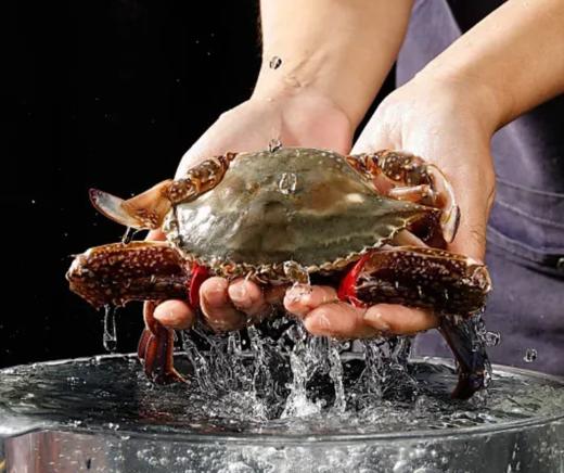 “螃友，蟹蟹侬”5斤装螃蟹礼盒 商品图2