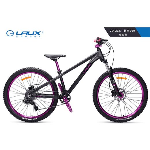 LAUX/雷克斯 悟空200土坡车铝合金车架单盘9速120响四培林花鼓 商品图0