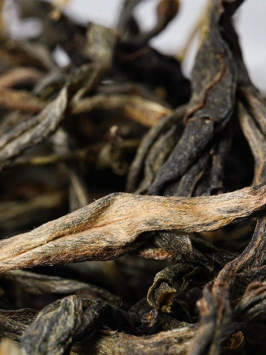 【墨江迷帝散茶】2023年春茶“不喝迷帝，怎知普洱的极致雅韵？净含量：250g/盒 商品图4